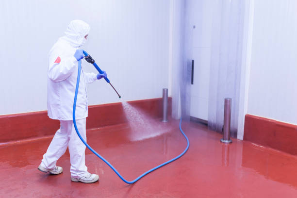 Spring Cleaning in Charlottesville, VA